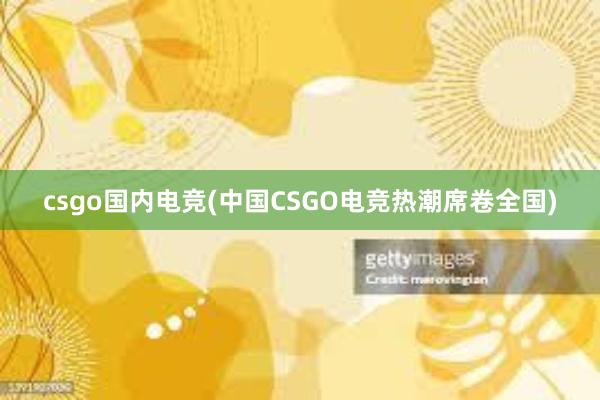 csgo国内电竞(中国CSGO电竞热潮席卷全国)