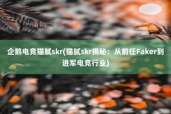 企鹅电竞猫腻skr(猫腻skr揭秘：从前任Faker到进军电竞行业)