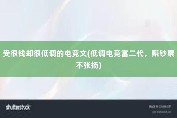 受很钱却很低调的电竞文(低调电竞富二代，赚钞票不张扬)