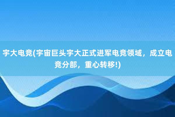 宇大电竞(宇宙巨头宇大正式进军电竞领域，成立电竞分部，重心转移!)