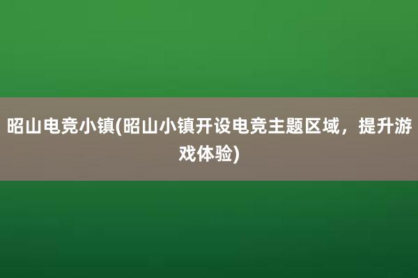 昭山电竞小镇(昭山小镇开设电竞主题区域，提升游戏体验)