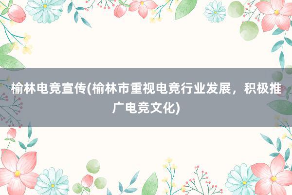 榆林电竞宣传(榆林市重视电竞行业发展，积极推广电竞文化)