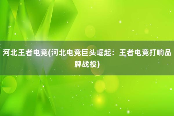 河北王者电竞(河北电竞巨头崛起：王者电竞打响品牌战役)