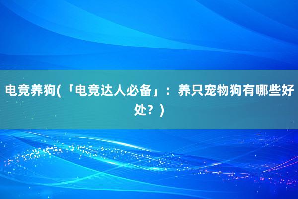 电竞养狗(「电竞达人必备」：养只宠物狗有哪些好处？)