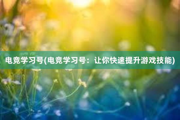 电竞学习号(电竞学习号：让你快速提升游戏技能)