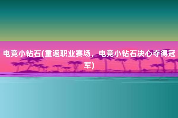 电竞小钻石(重返职业赛场，电竞小钻石决心夺得冠军)