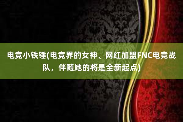 电竞小铁锤(电竞界的女神、网红加盟FNC电竞战队，伴随她的将是全新起点)