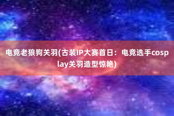 电竞老狼狗关羽(古装IP大赛首日：电竞选手cosplay关羽造型惊艳)