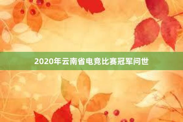 2020年云南省电竞比赛冠军问世