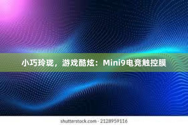 小巧玲珑，游戏酷炫：Mini9电竞触控膜