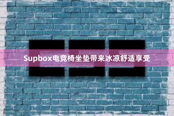 Supbox电竞椅坐垫带来冰凉舒适享受