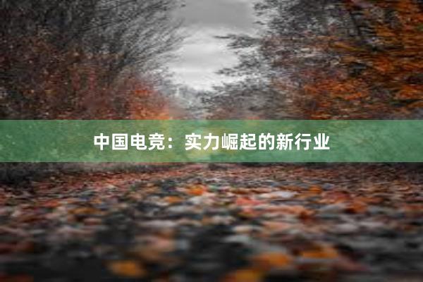 中国电竞：实力崛起的新行业