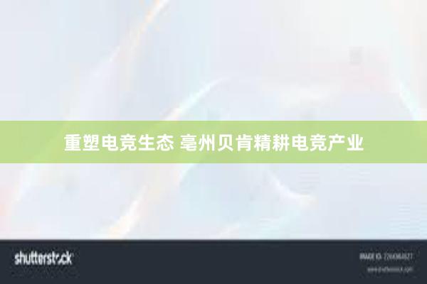 重塑电竞生态 亳州贝肯精耕电竞产业