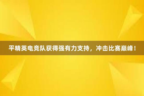 平精英电竞队获得强有力支持，冲击比赛巅峰！