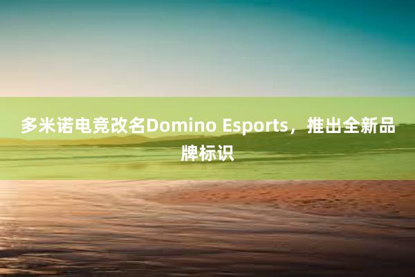 多米诺电竞改名Domino Esports，推出全新品牌标识