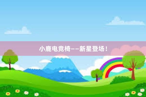 小鹿电竞椅——新星登场！