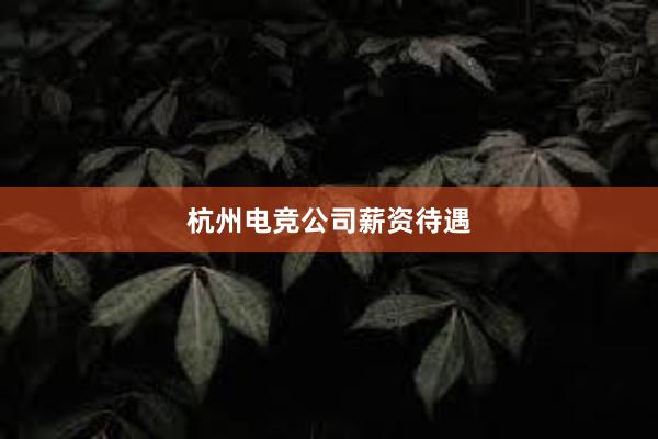 杭州电竞公司薪资待遇