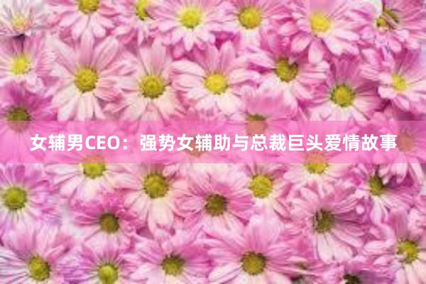 女辅男CEO：强势女辅助与总裁巨头爱情故事